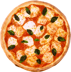 Margherita Pizza ( Cheese, Red Sauce )